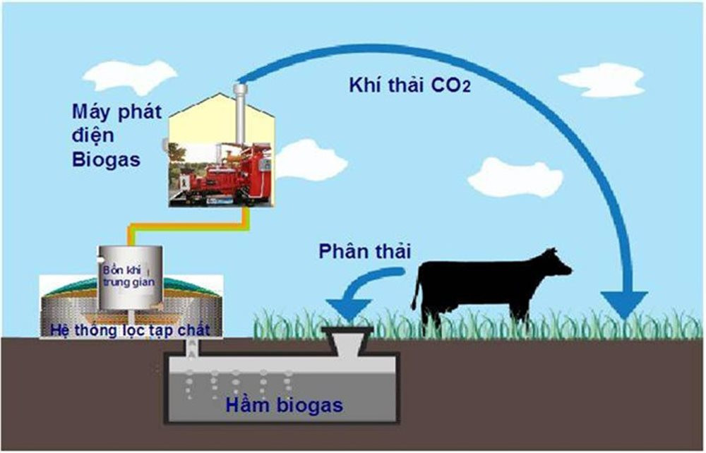 Năng lượng điện từ Biogas